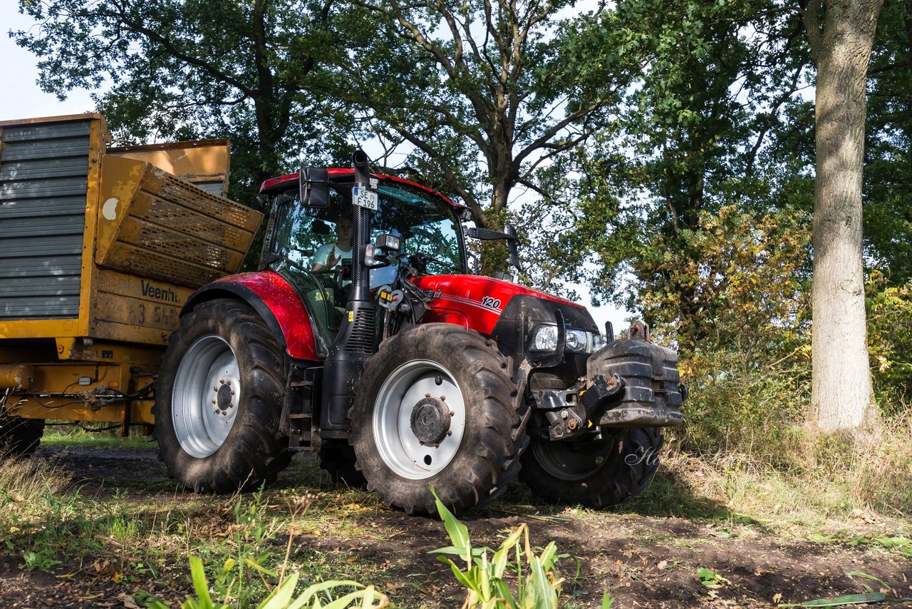 Bild 210 - Maisernte